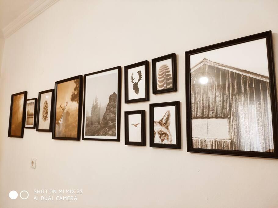 Evaggelia'S Apartments 1 Διαμονή Στο Κέντρο كوزاني المظهر الخارجي الصورة